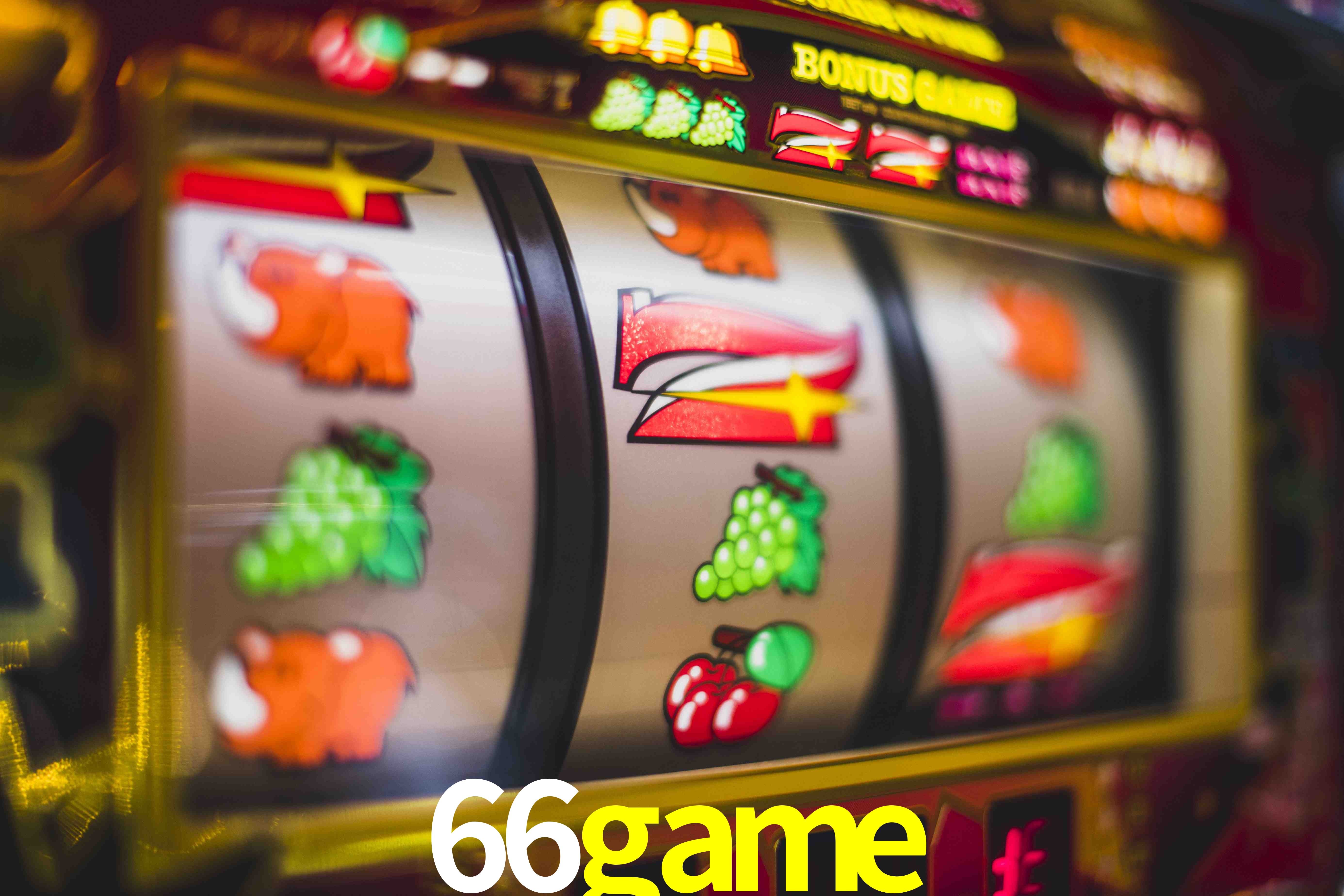Statistics 66game
